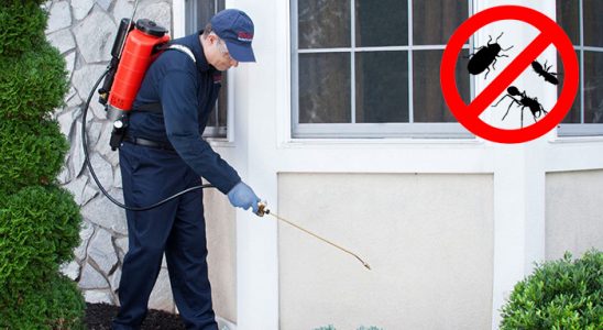 Bağcılar Böcek ve Haşere İlaçlama böcek ilaçlama ve haşere kontrolü — ilaclama-tr.com